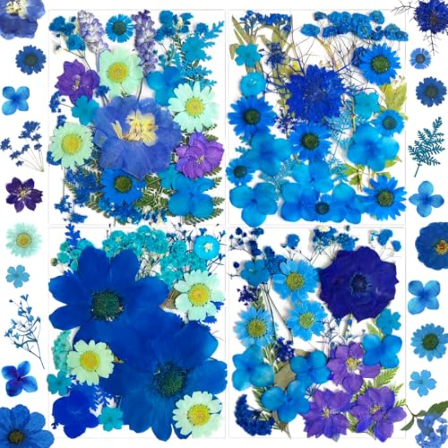 94Pcs Dried Pressed Flowers fo - Dried Flower Bulk recensione e prezzo
