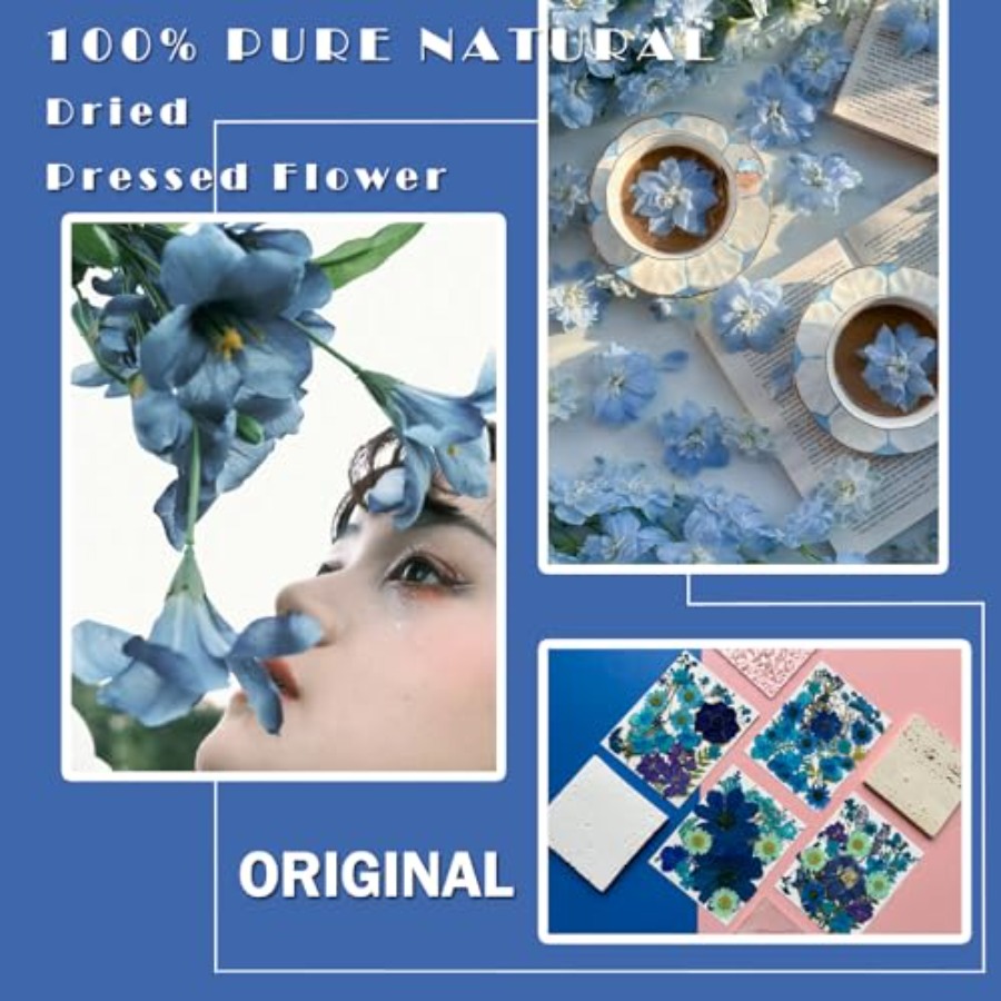 94Pcs Dried Pressed Flowers fo - Dried Flower Bulk recensione e prezzo