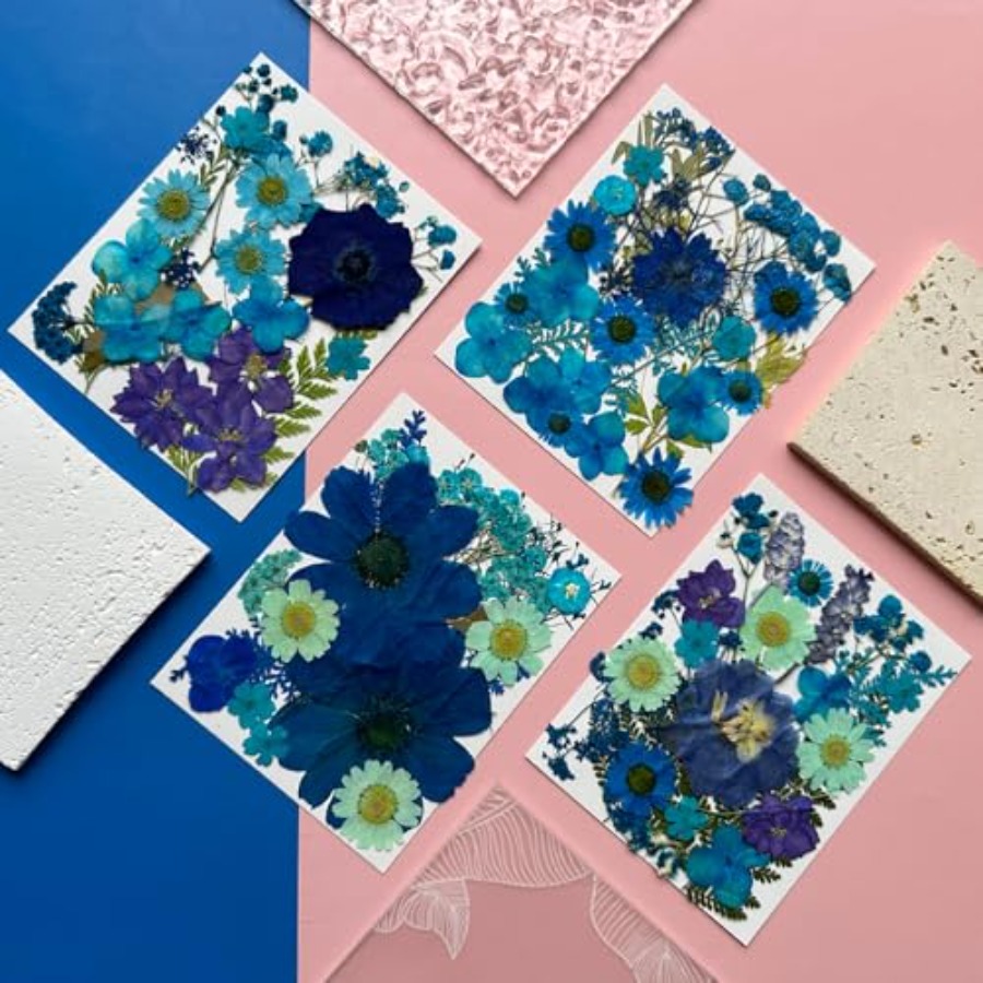 94Pcs Dried Pressed Flowers fo - Dried Flower Bulk recensione e prezzo