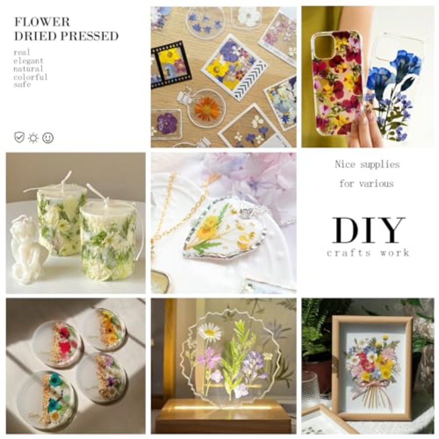 94Pcs Dried Pressed Flowers fo - Dried Flower Bulk recensione e prezzo
