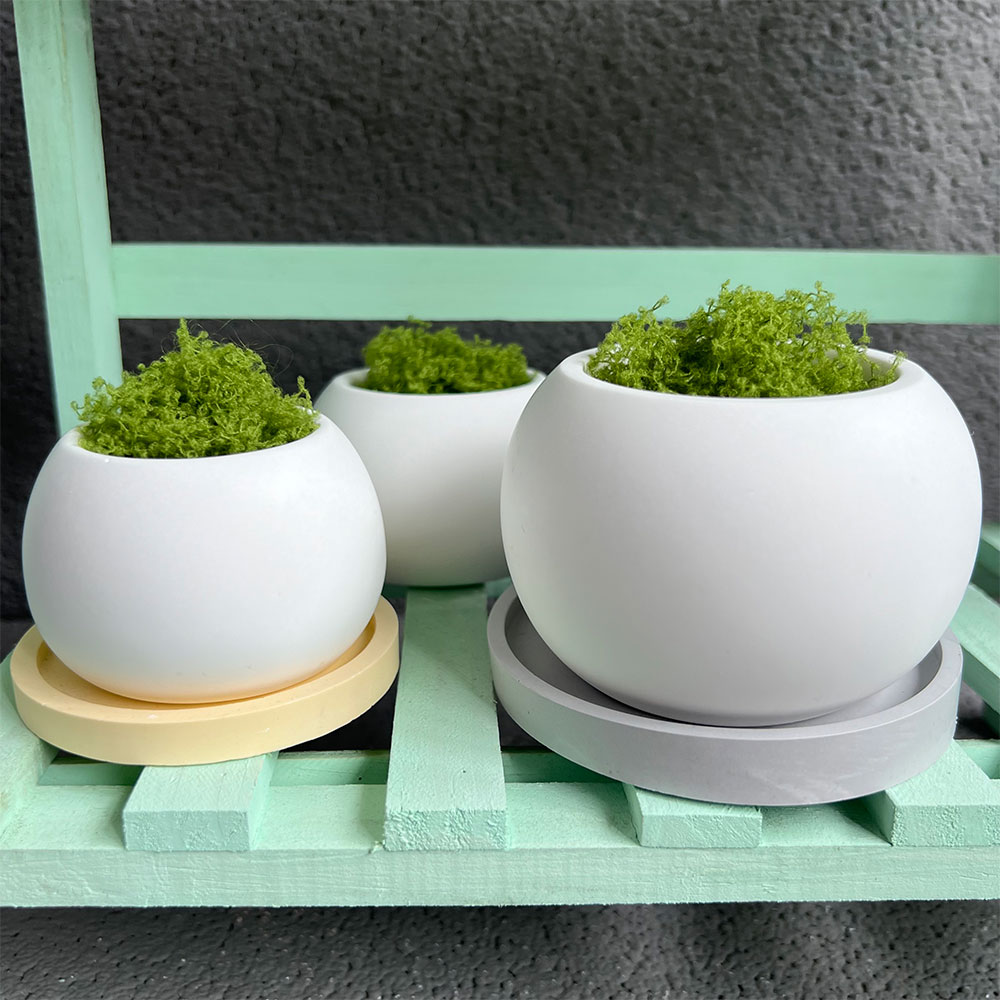 Large Silicone Planter Molds C - Coaster Mold Round recensione e prezzo