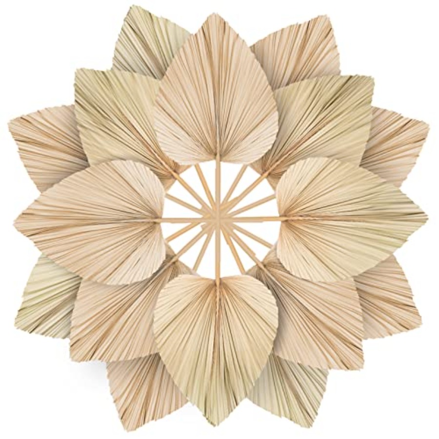 10 Large Bulk Boho Dried Palm  - Dried Flower Bulk recensione e prezzo