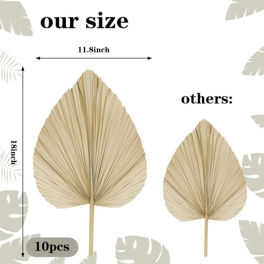 10 Large Bulk Boho Dried Palm  - Dried Flower Bulk recensione e prezzo