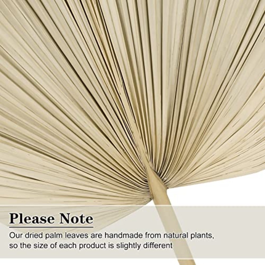 10 Large Bulk Boho Dried Palm  - Dried Flower Bulk recensione e prezzo