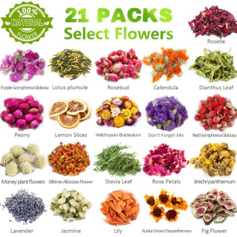Latest] Pack Dried Flowers for - Dried Flower Bulk recensione e prezzo