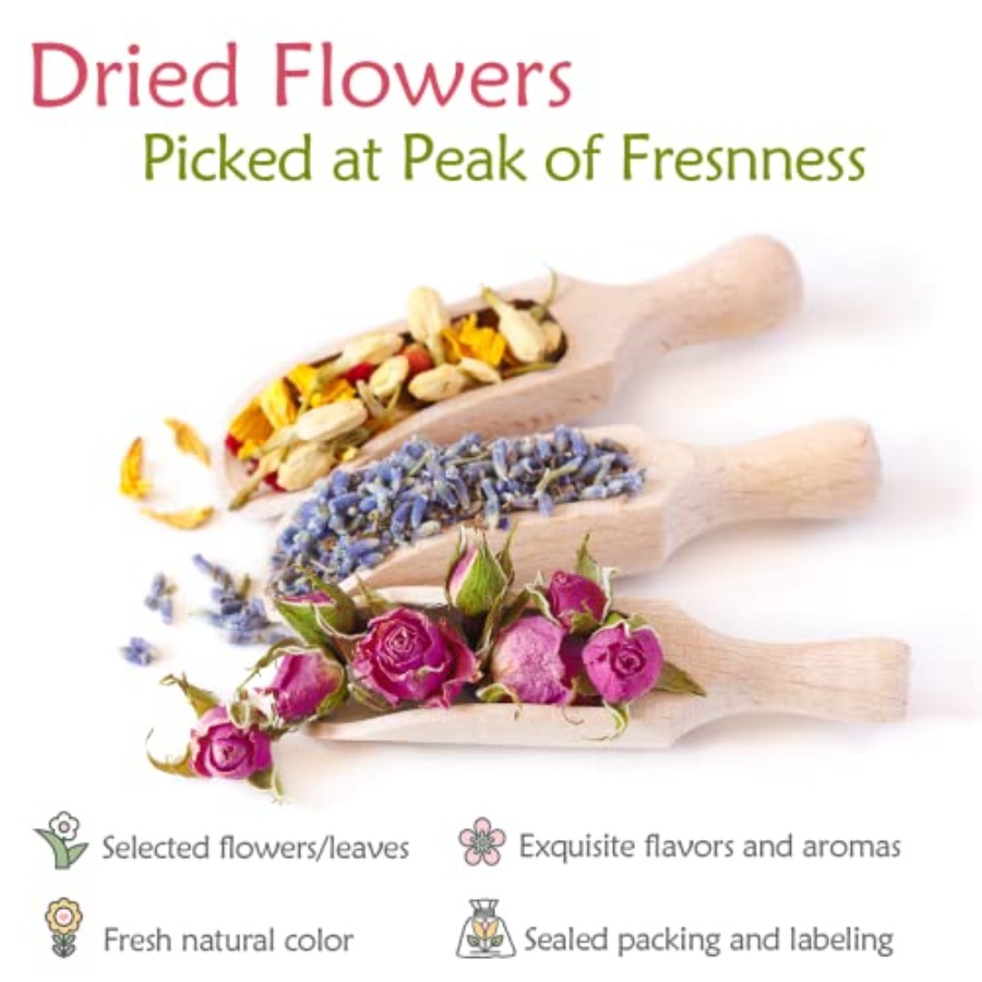 Latest] Pack Dried Flowers for - Dried Flower Bulk recensione e prezzo