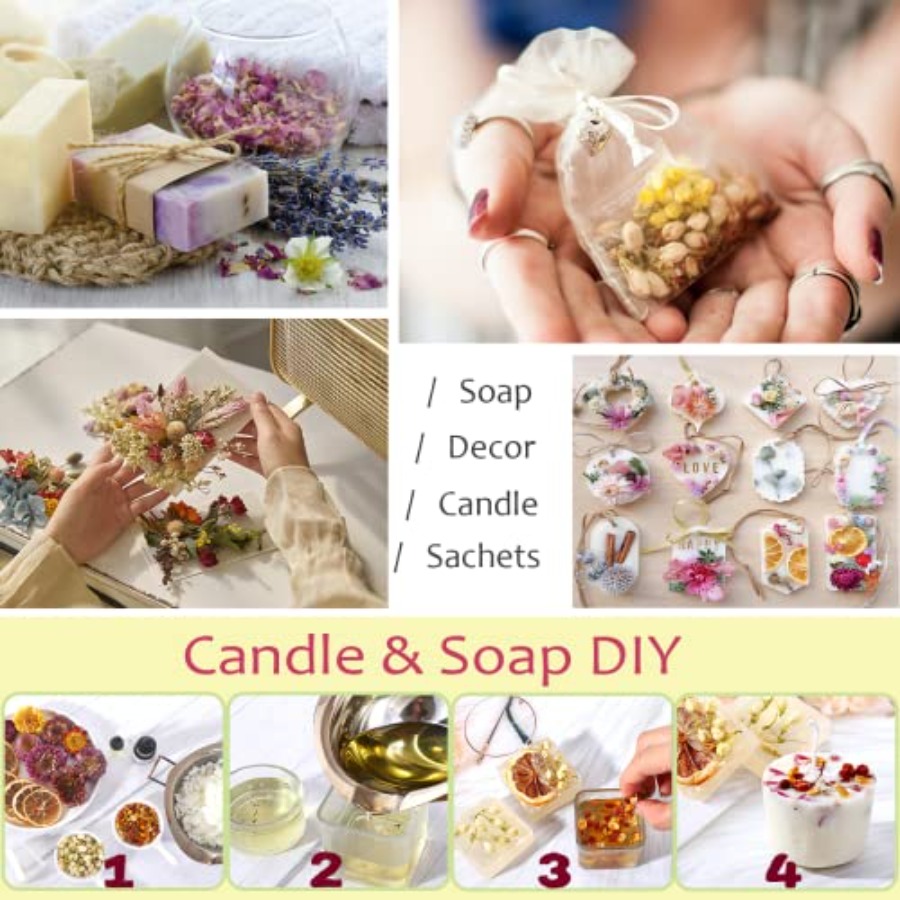 Latest] Pack Dried Flowers for - Dried Flower Bulk recensione e prezzo