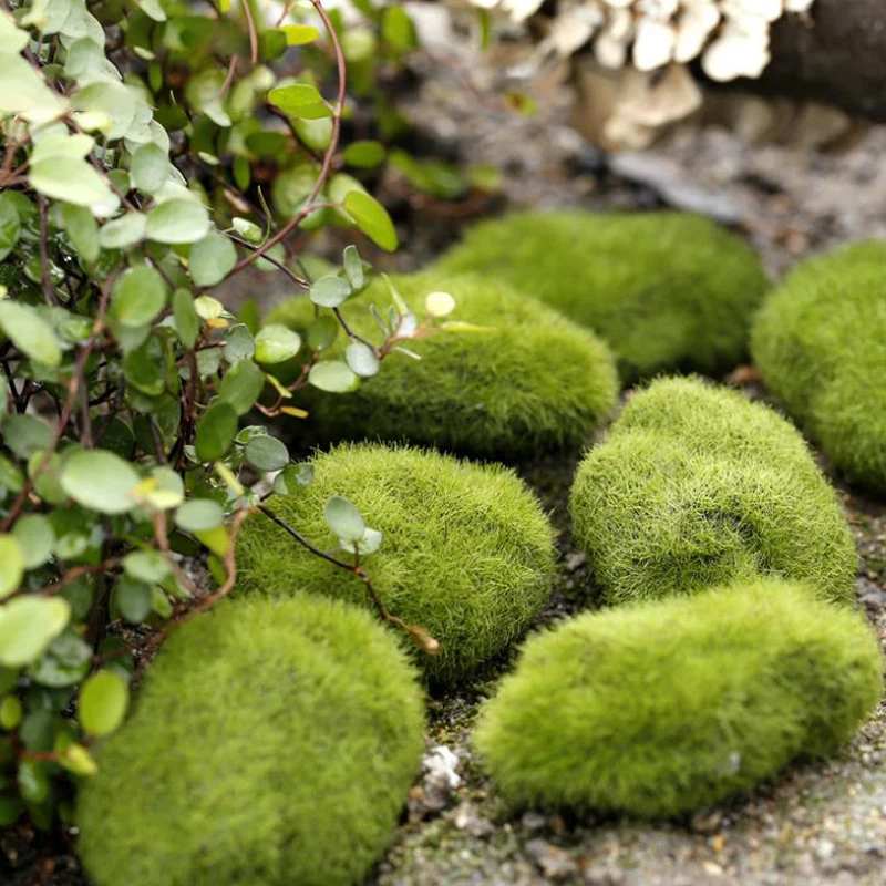4Pcs Micro Landscape Artificia - Terrarium Moss Art recensione e prezzo
