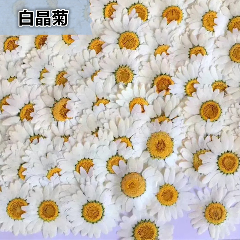 100Pcs Natural White Crystal C - Resin Craft Ideas recensione e prezzo