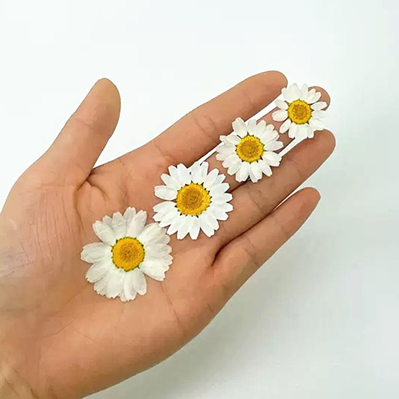 100Pcs Natural White Crystal C - Resin Craft Ideas recensione e prezzo