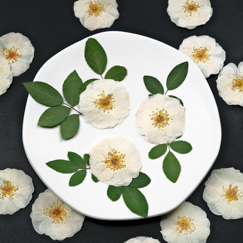 6pcs,9pcs,Nature White Rose Pr - Resin Craft Ideas recensione e prezzo