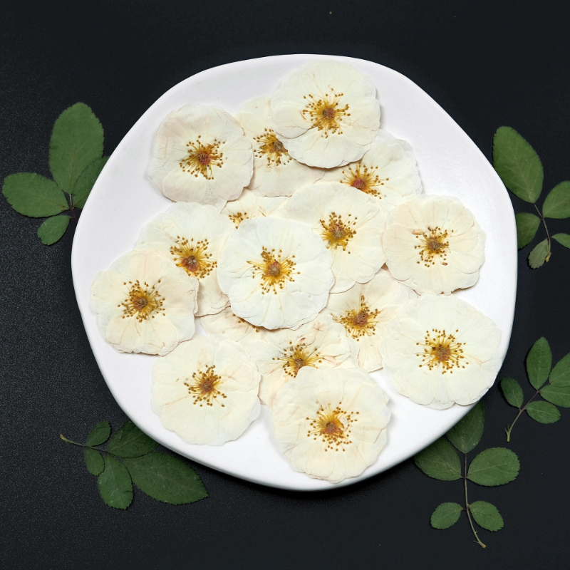 6pcs,9pcs,Nature White Rose Pr - Resin Craft Ideas recensione e prezzo