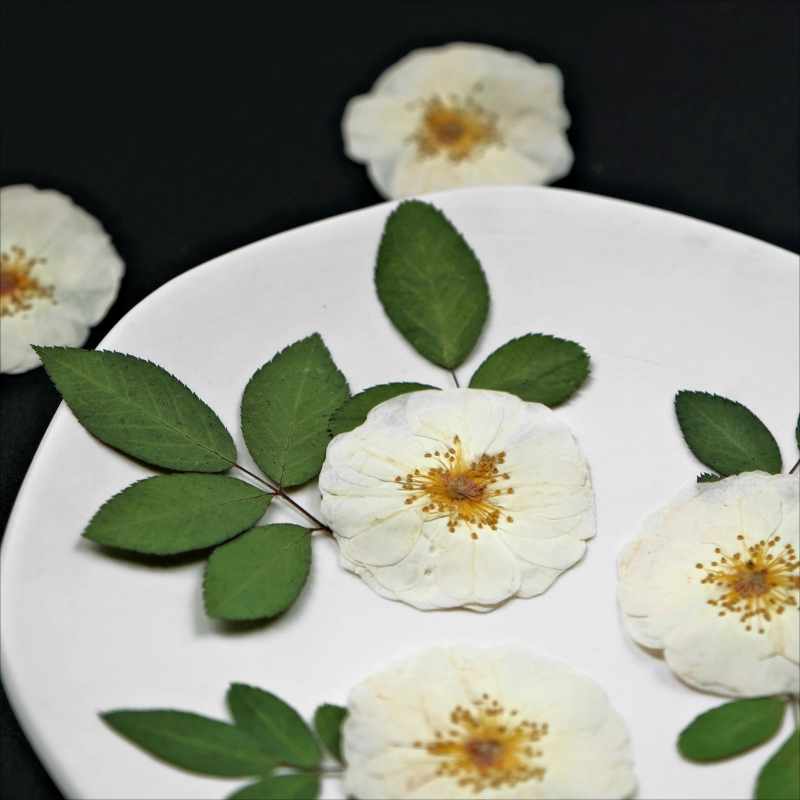 6pcs,9pcs,Nature White Rose Pr - Resin Craft Ideas recensione e prezzo