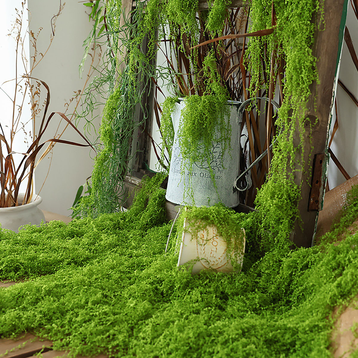 about 20g Artificial Green Pla - Terrarium Moss Art recensione e prezzo