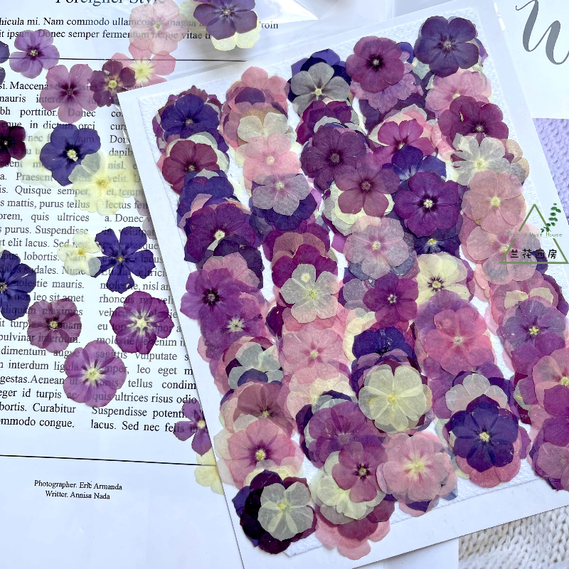 12pcs,Semi-Transparent Niche P - Resin Craft Ideas recensione e prezzo