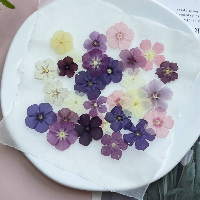 12pcs,Semi-Transparent Niche P - Resin Craft Ideas recensione e prezzo