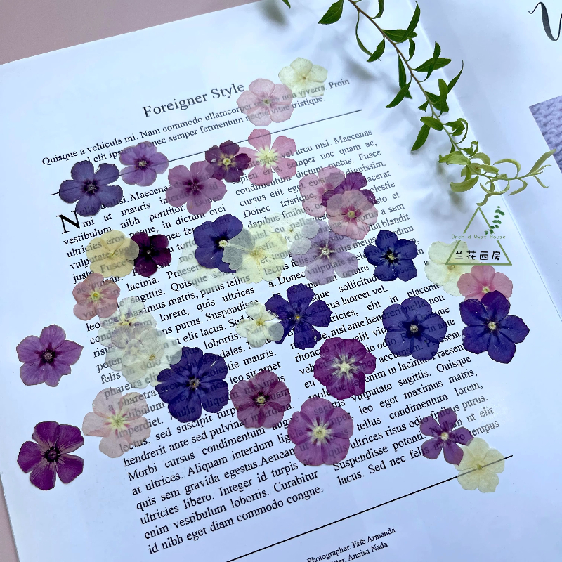 12pcs,Semi-Transparent Niche P - Resin Craft Ideas recensione e prezzo